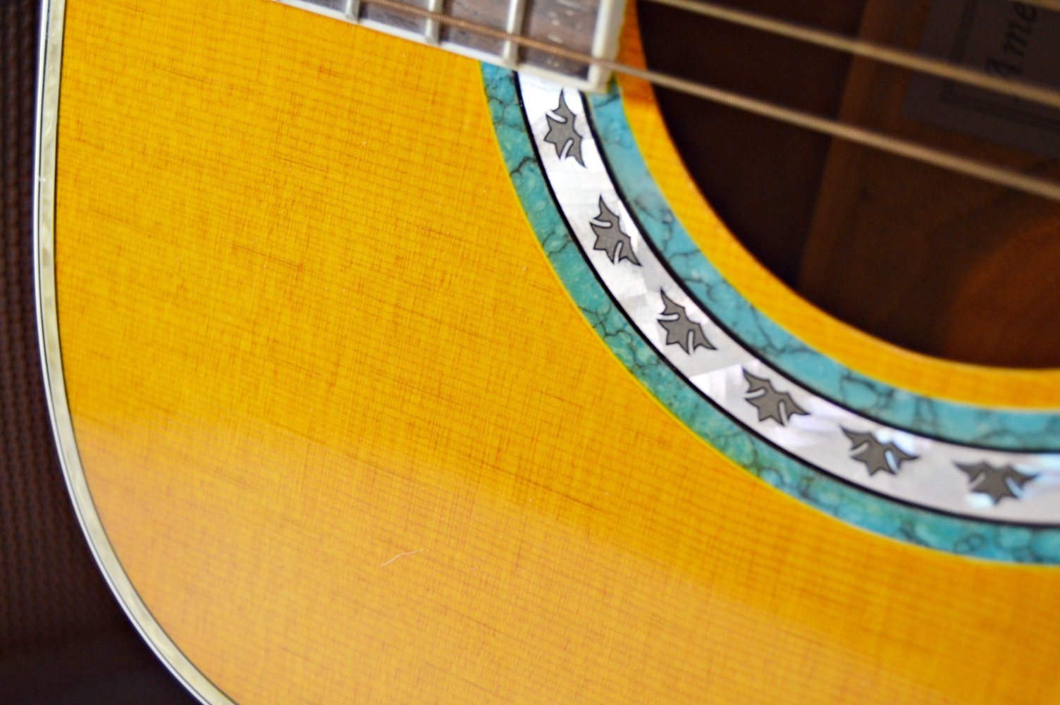 Esteban American Legacy Acoustic Guitar and Amplifier