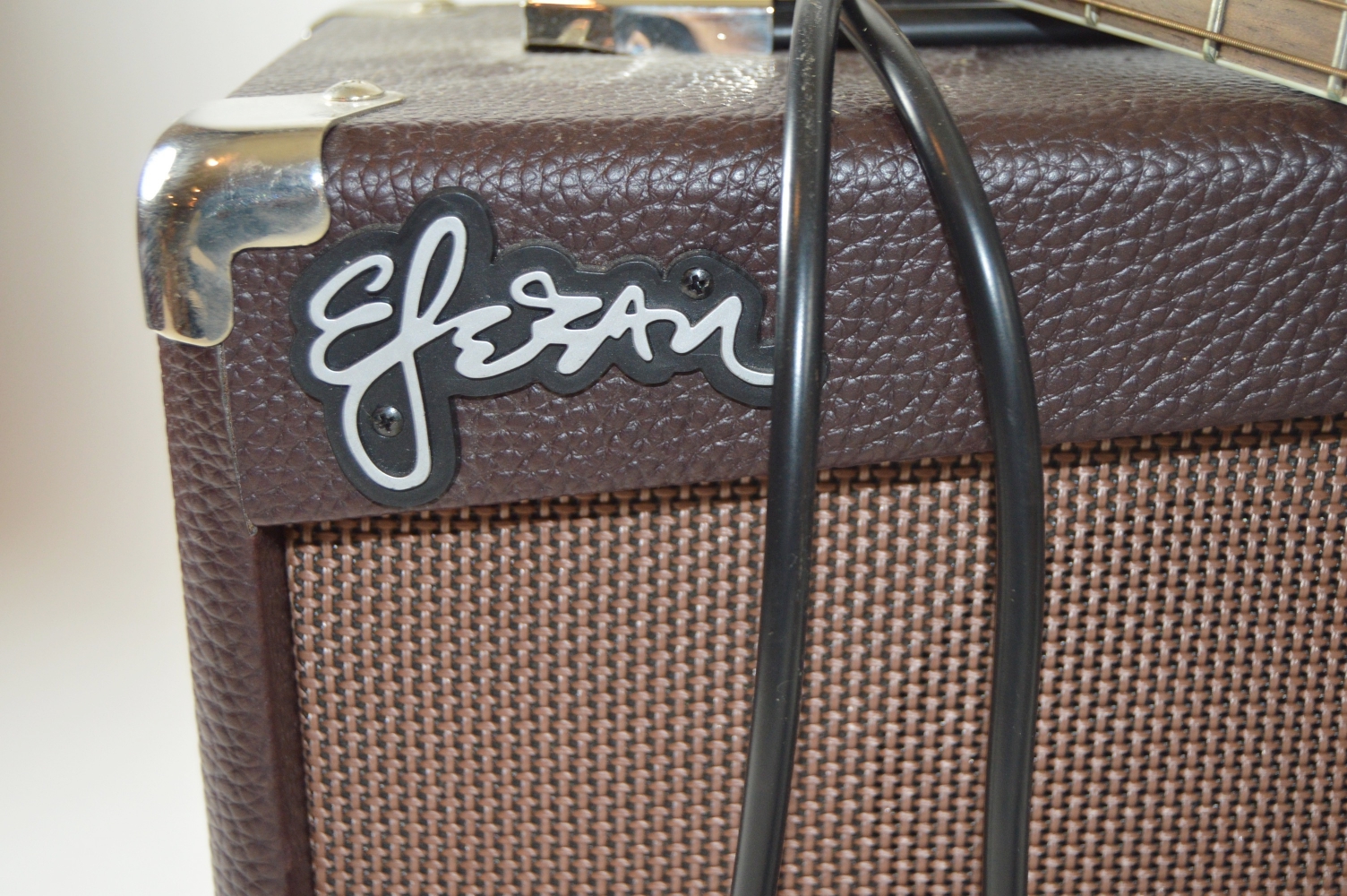 Esteban American Legacy Acoustic Guitar and Amplifier