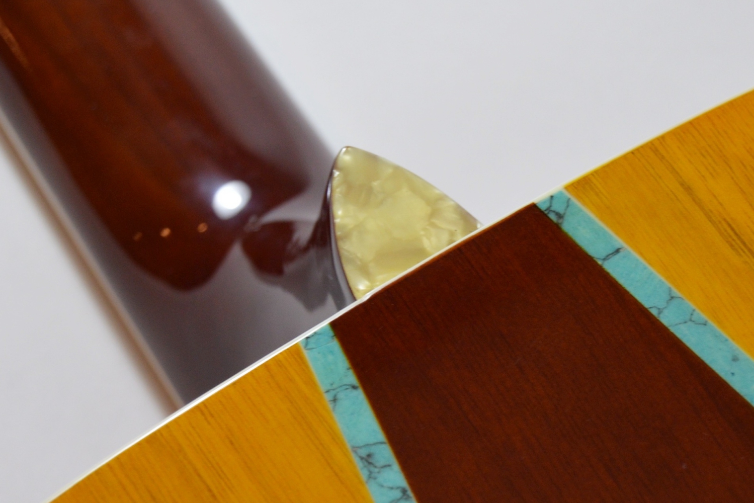 Esteban American Legacy Acoustic Guitar and Amplifier