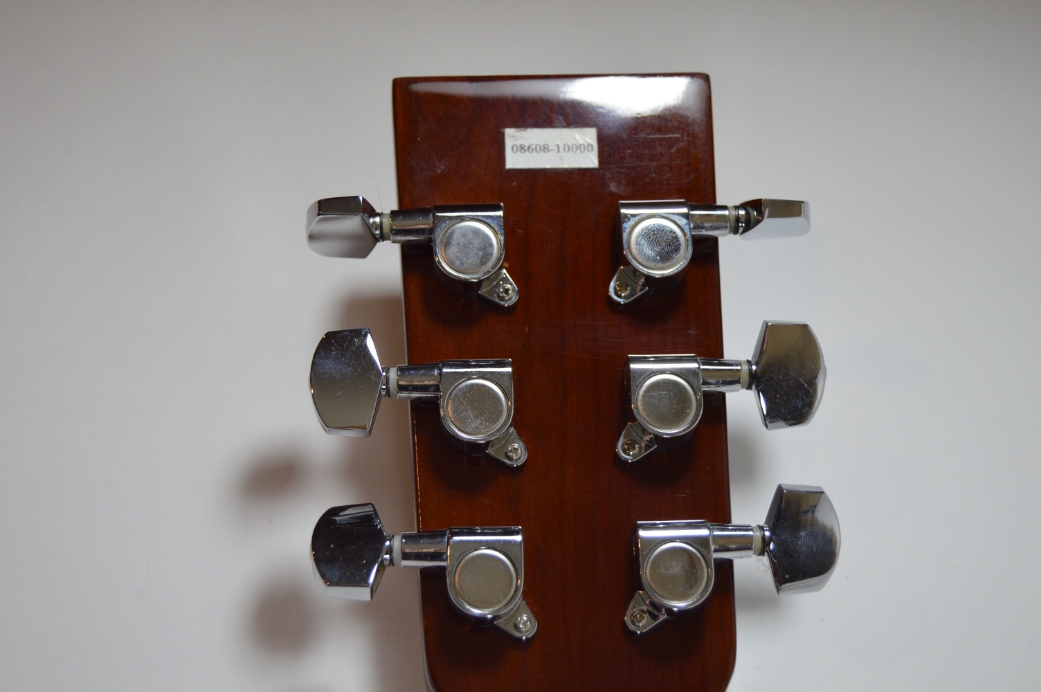 Esteban American Legacy Acoustic Guitar and Amplifier