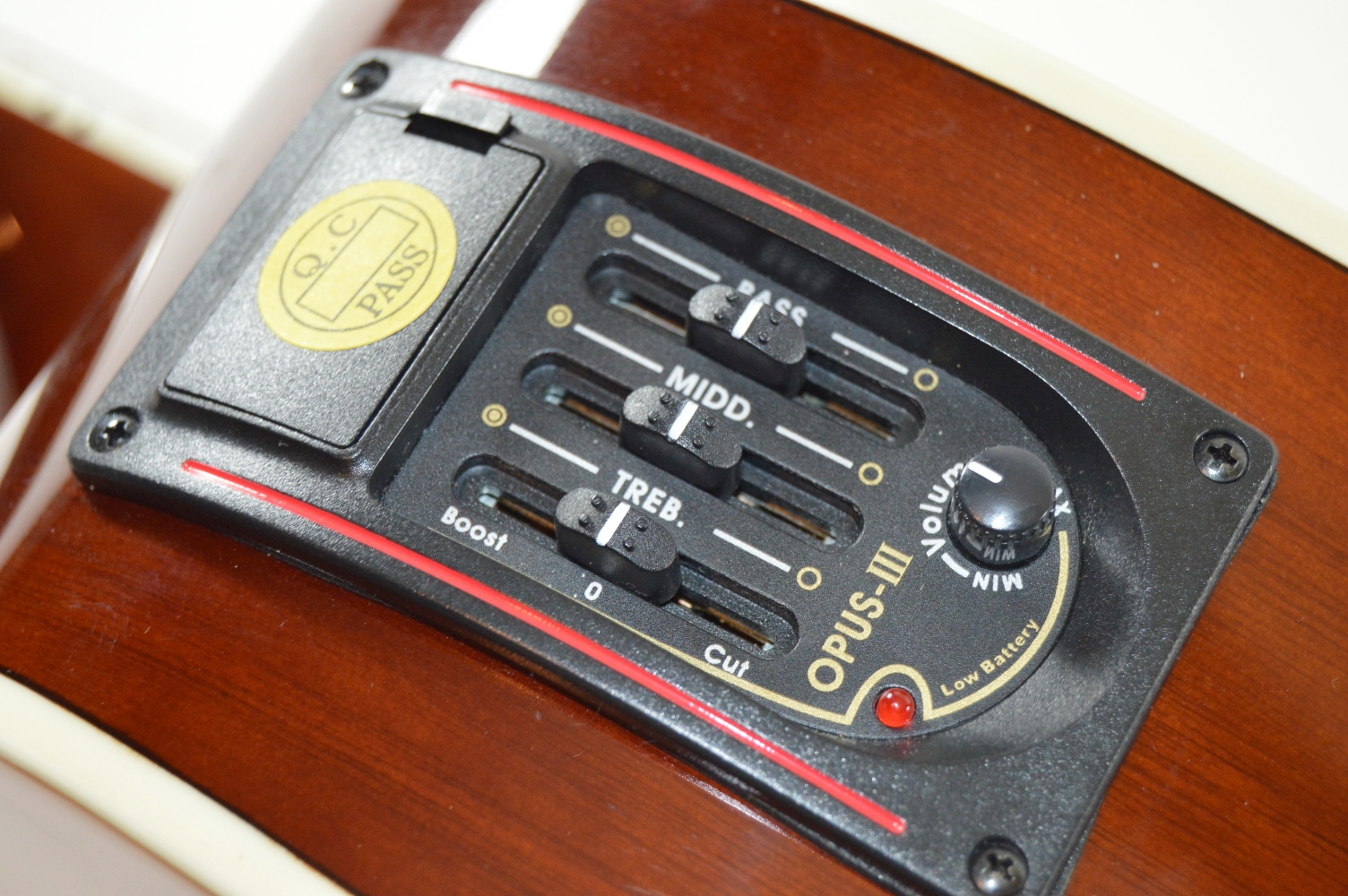 Esteban American Legacy Acoustic Guitar and Amplifier