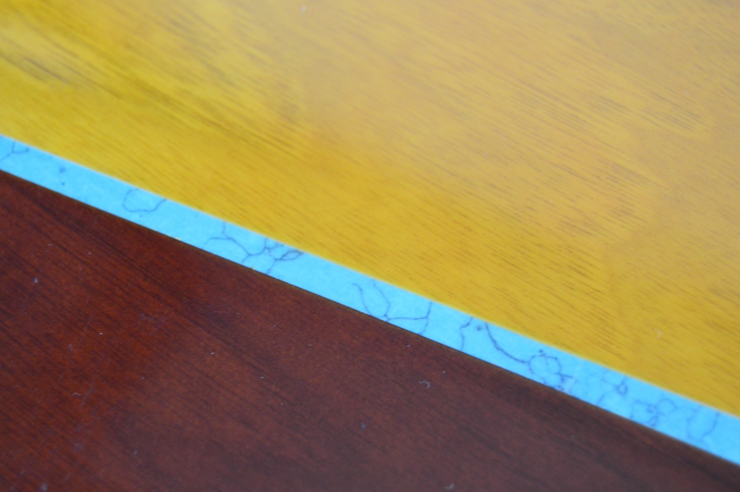 Esteban American Legacy Acoustic Guitar and Amplifier