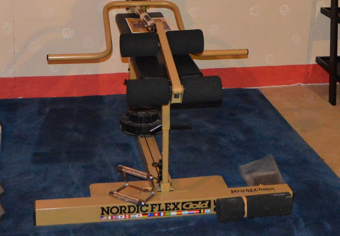 Nordic Flex Gold Home Gym