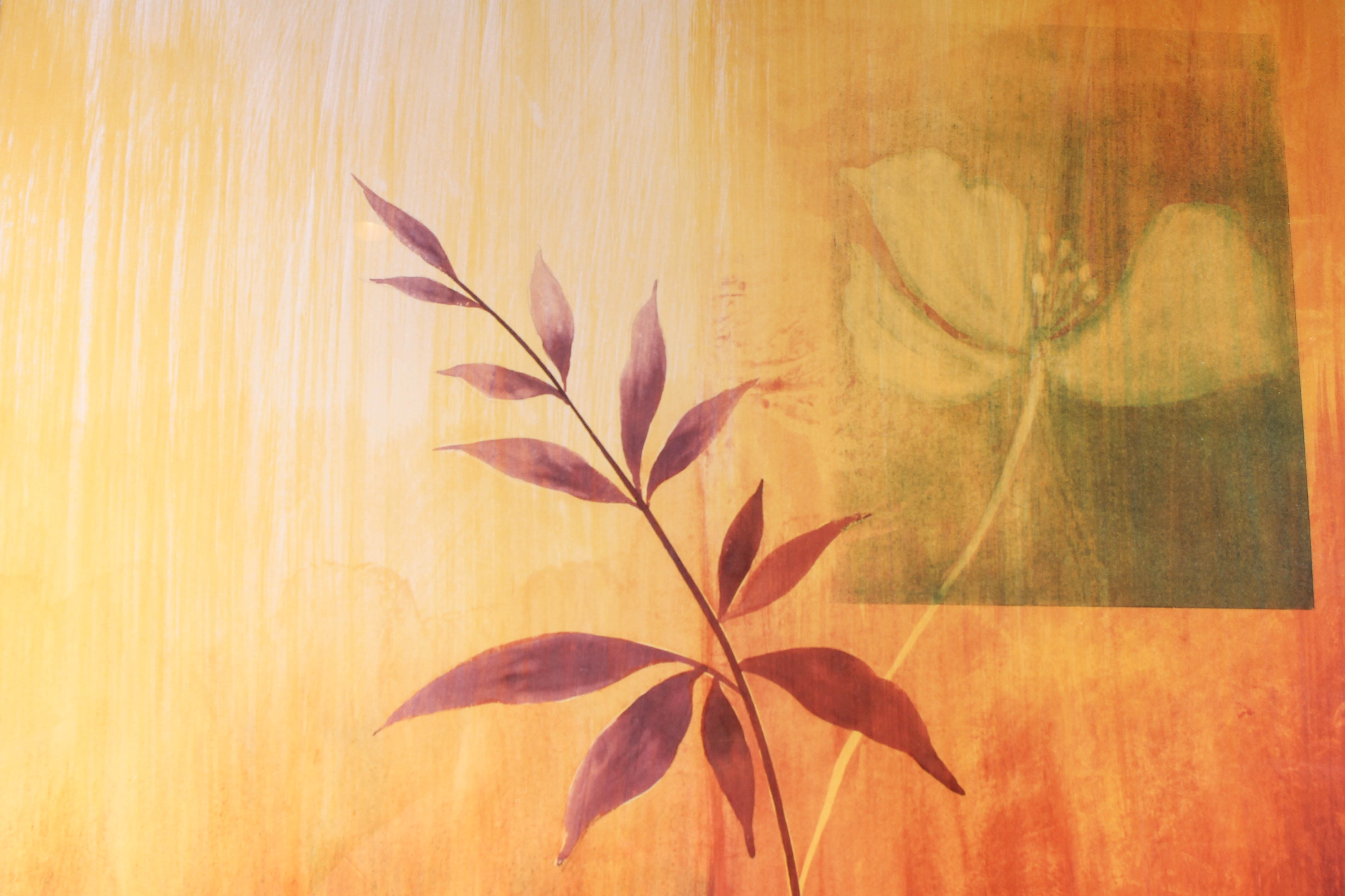 Framed Floral Offset Lithograph