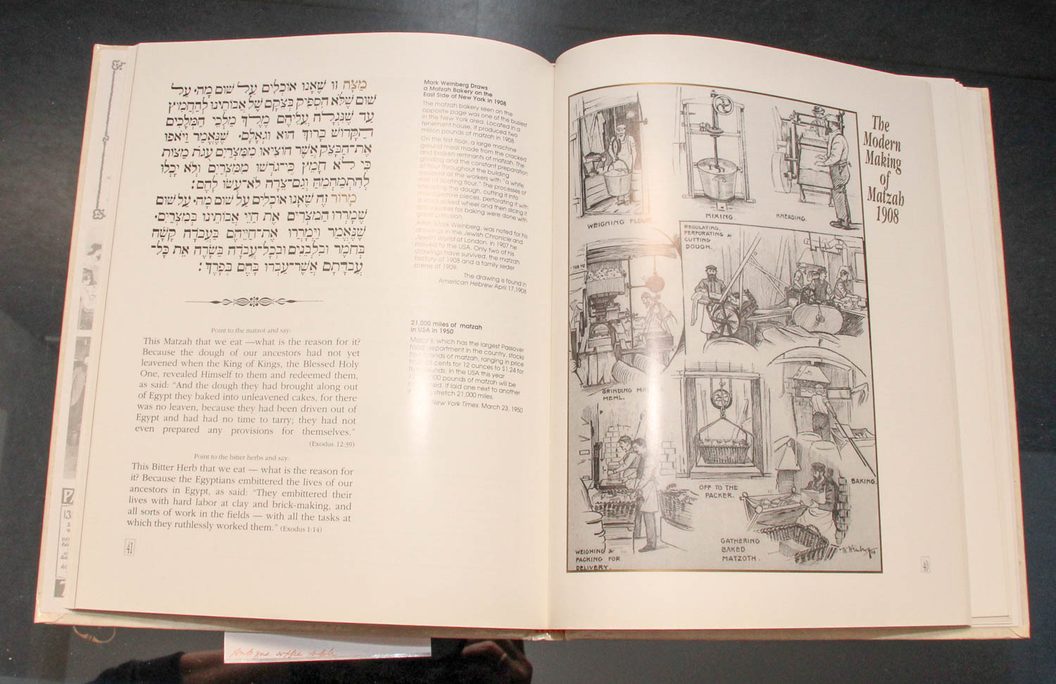 Jewish-Themed Book Collection, Including First Editions