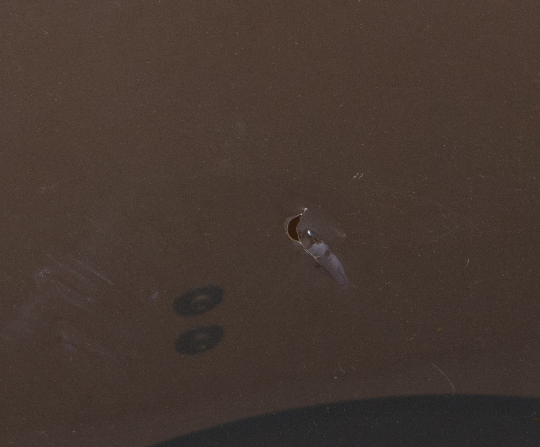 Ludwig Accent Drum Set