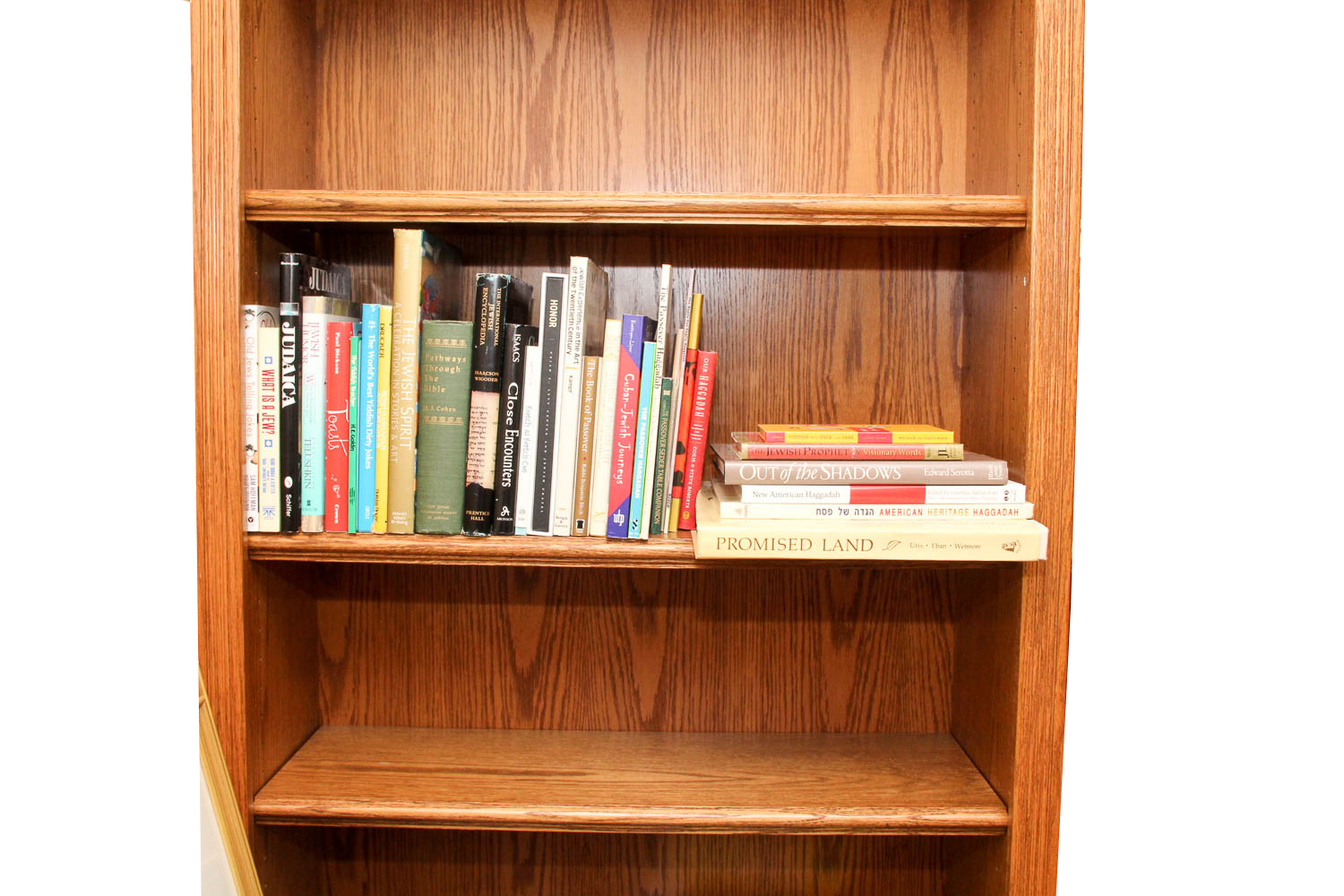 Jewish-Themed Book Collection, Including First Editions