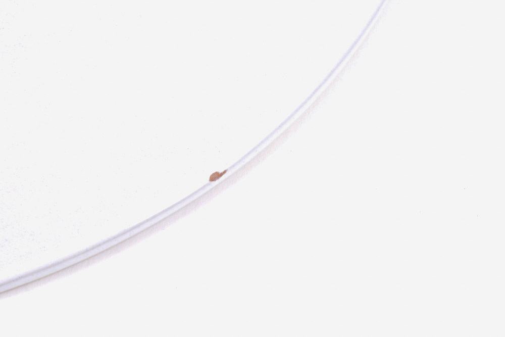 Williams-Sonoma "Mediterranean" Deruta-Style Dishware