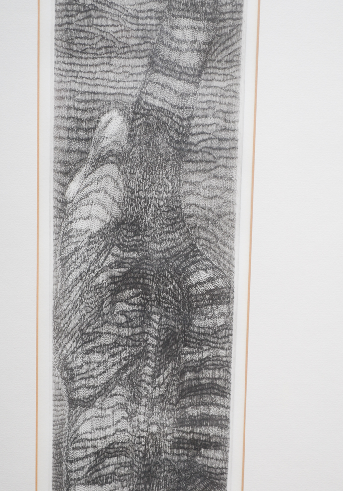 Richard Volpe Signed Limited Edition Engraving Titled "Prowling" With COA