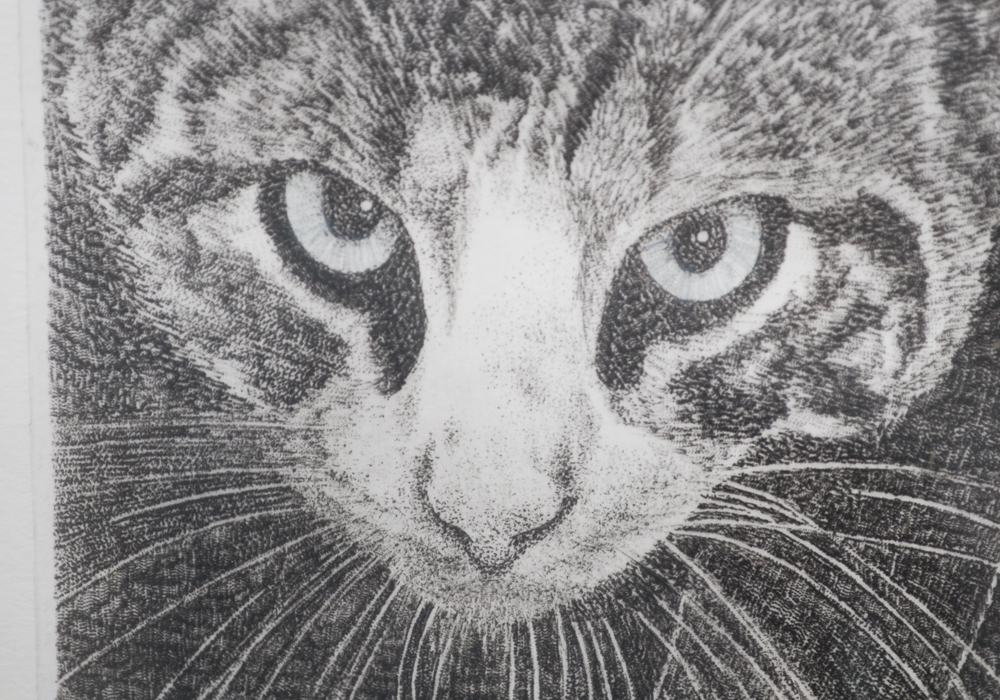 Richard Volpe Signed Limited Edition Engraving Titled "Prowling" With COA