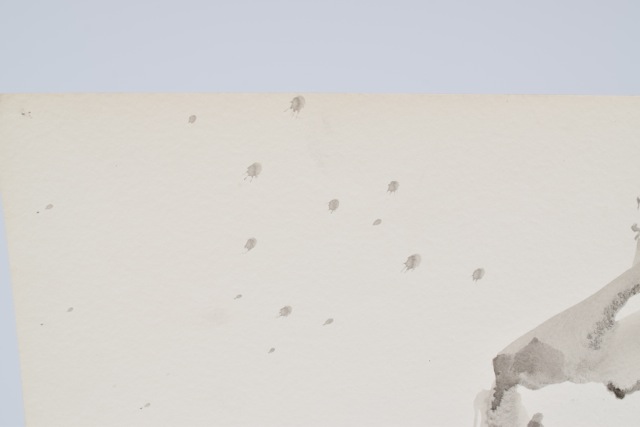 Original Tuska Female Watercolor Painting