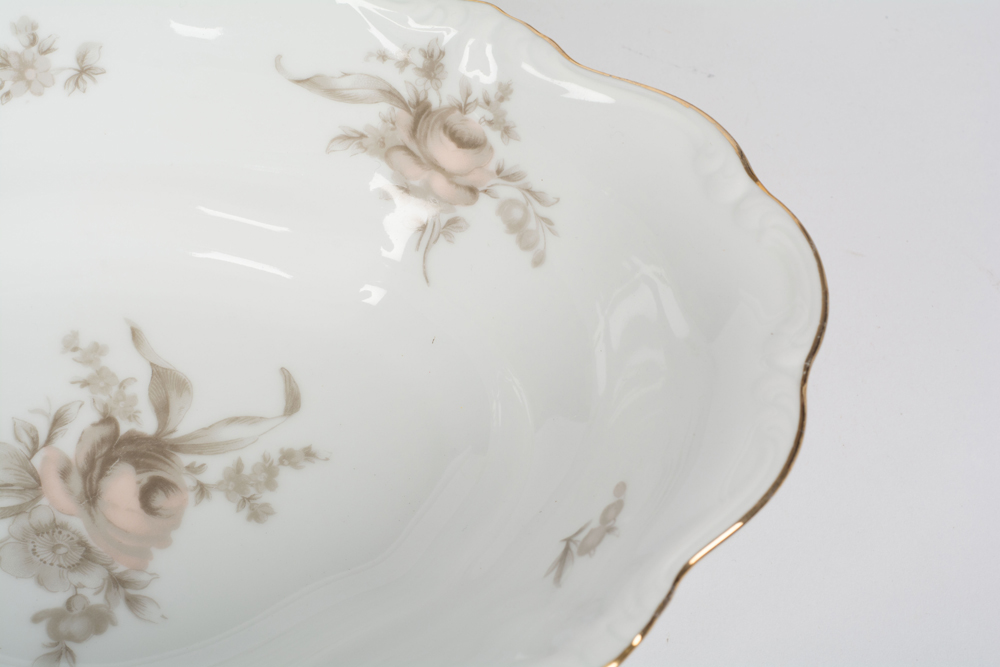 German Johann Haviland "Sepia Rose" China Dinner Service