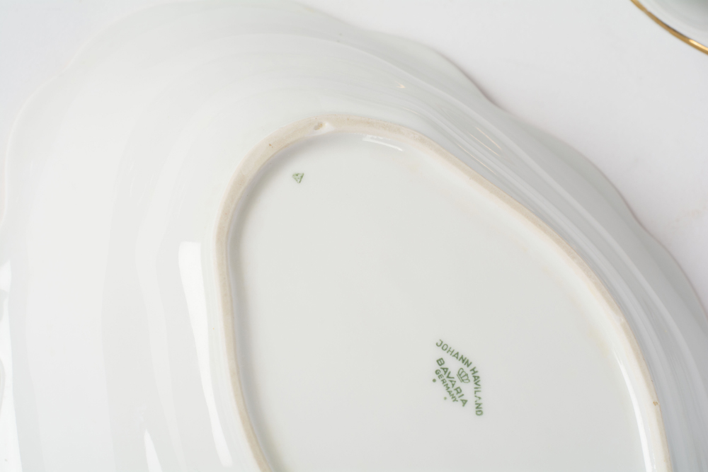 German Johann Haviland "Sepia Rose" China Dinner Service