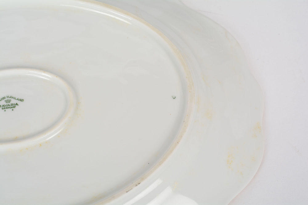 German Johann Haviland "Sepia Rose" China Dinner Service