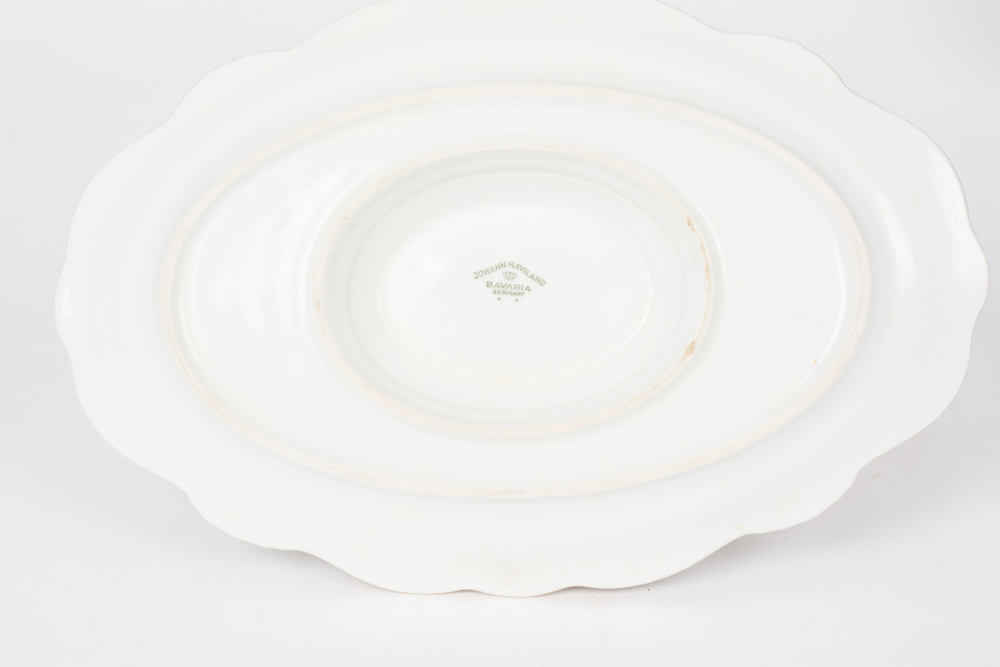 German Johann Haviland "Sepia Rose" China Dinner Service