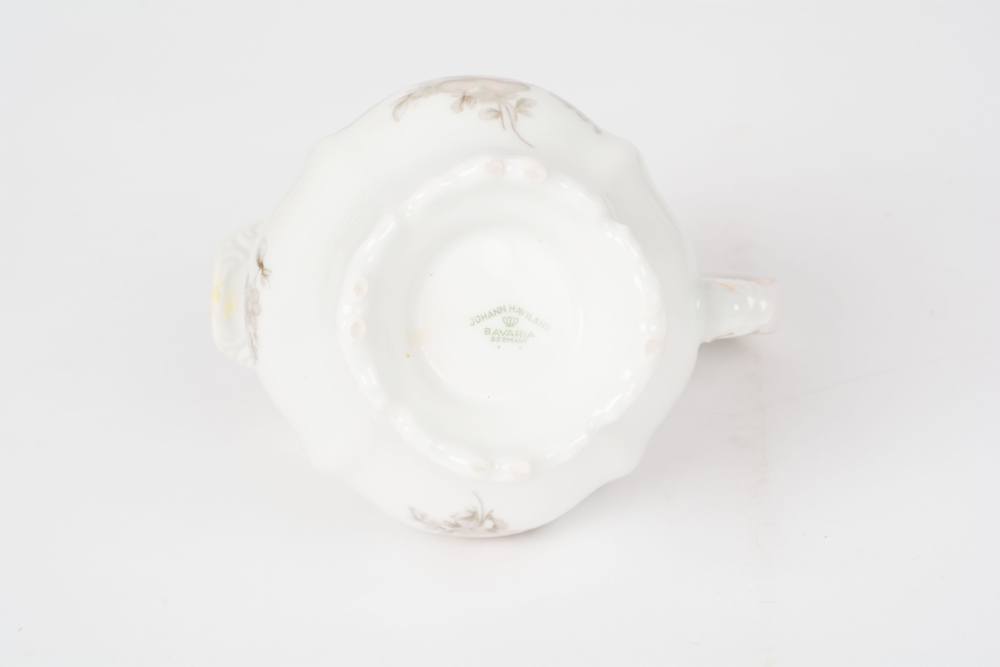 German Johann Haviland "Sepia Rose" China Dinner Service