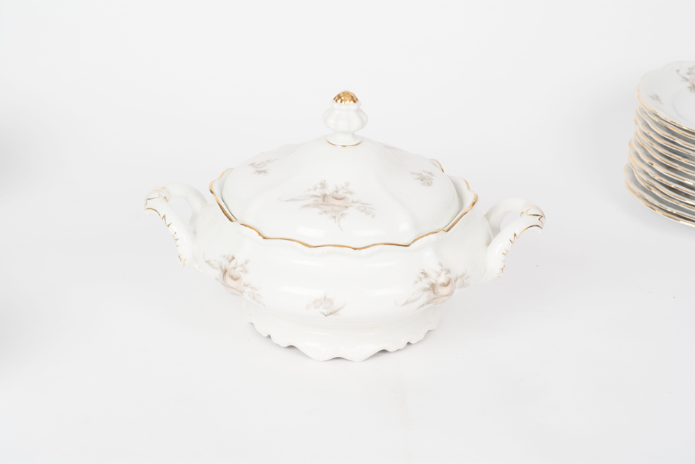 German Johann Haviland "Sepia Rose" China Dinner Service