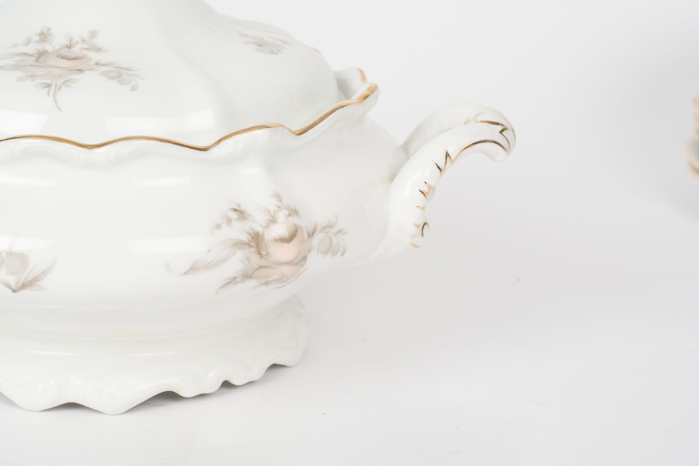 German Johann Haviland "Sepia Rose" China Dinner Service