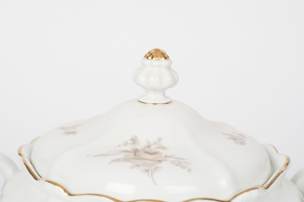 German Johann Haviland "Sepia Rose" China Dinner Service