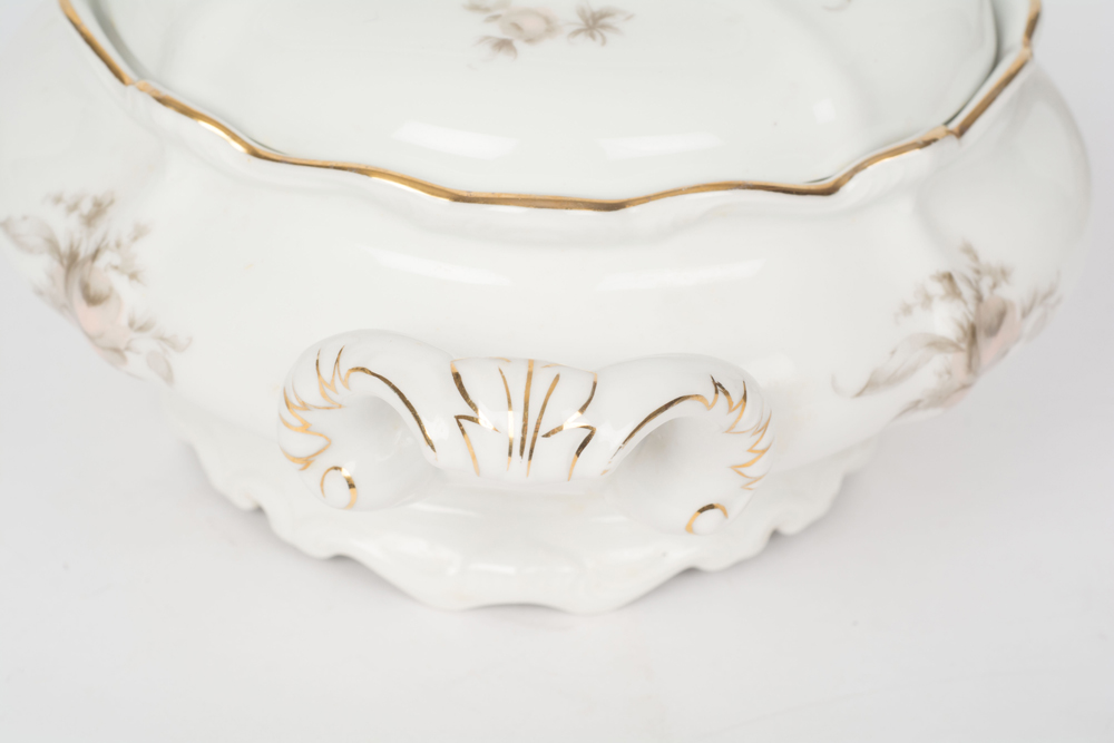 German Johann Haviland "Sepia Rose" China Dinner Service