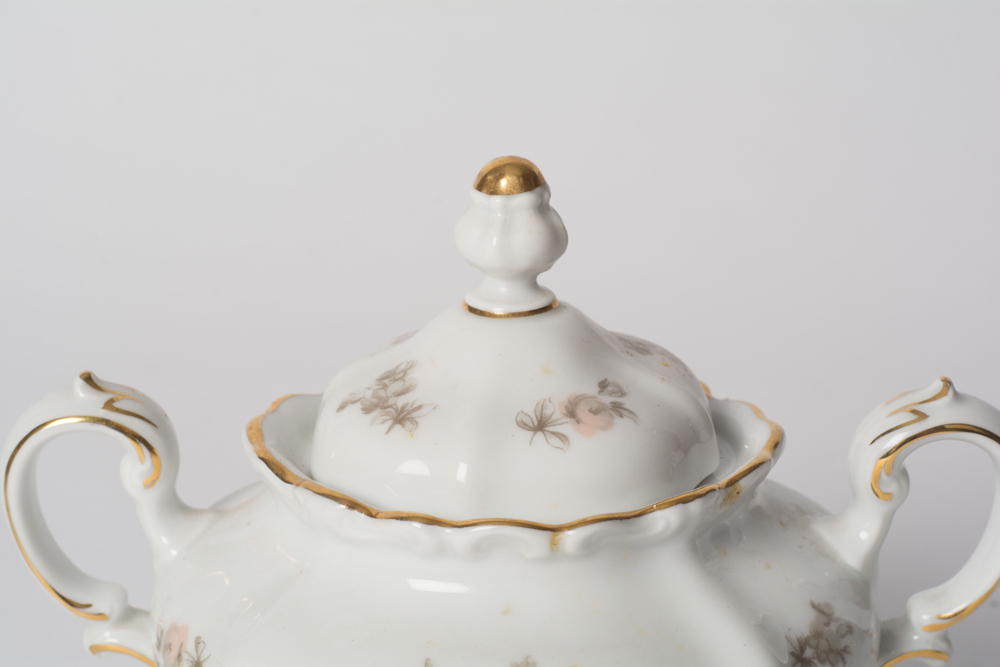 German Johann Haviland "Sepia Rose" China Dinner Service