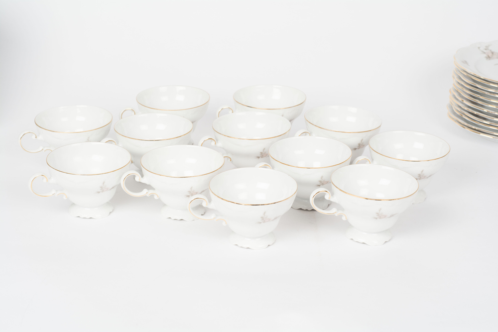 German Johann Haviland "Sepia Rose" China Dinner Service