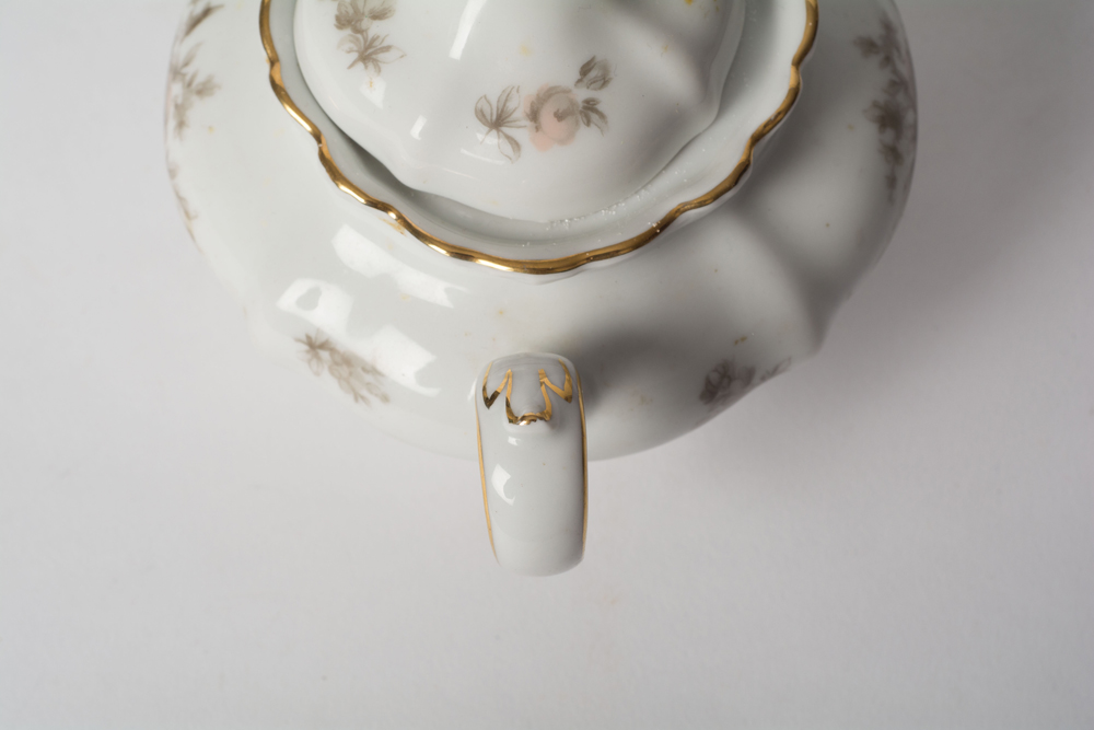 German Johann Haviland "Sepia Rose" China Dinner Service