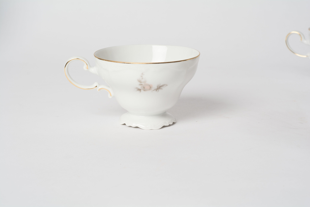 German Johann Haviland "Sepia Rose" China Dinner Service