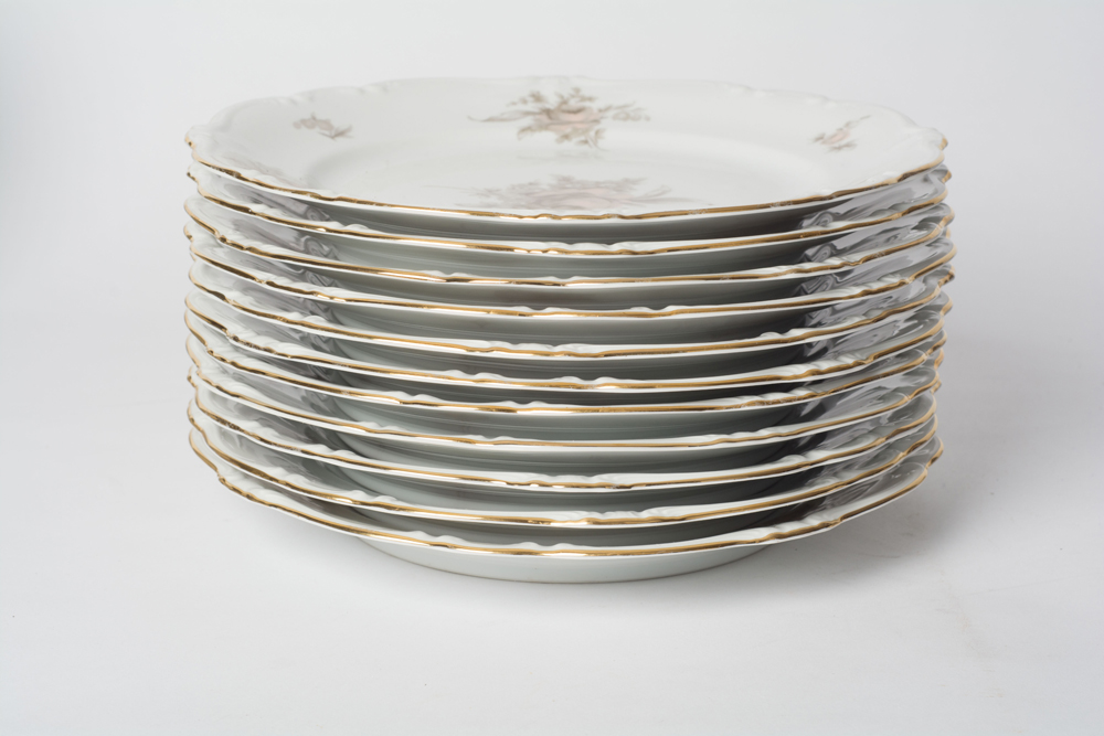 German Johann Haviland "Sepia Rose" China Dinner Service