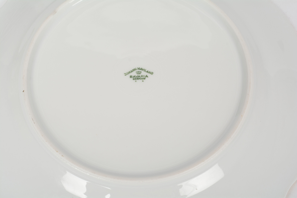 German Johann Haviland "Sepia Rose" China Dinner Service