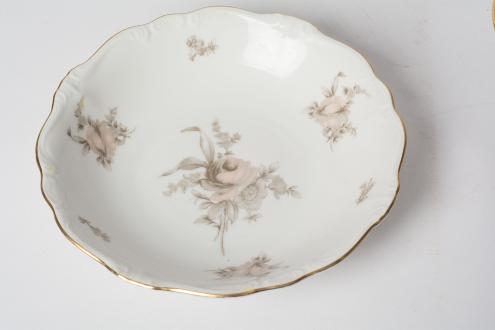 German Johann Haviland "Sepia Rose" China Dinner Service