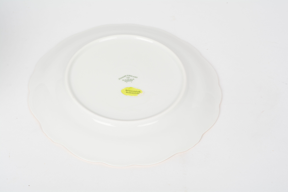 German Johann Haviland "Sepia Rose" China Dinner Service