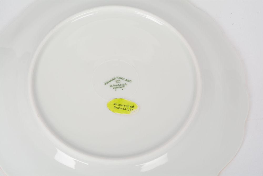 German Johann Haviland "Sepia Rose" China Dinner Service