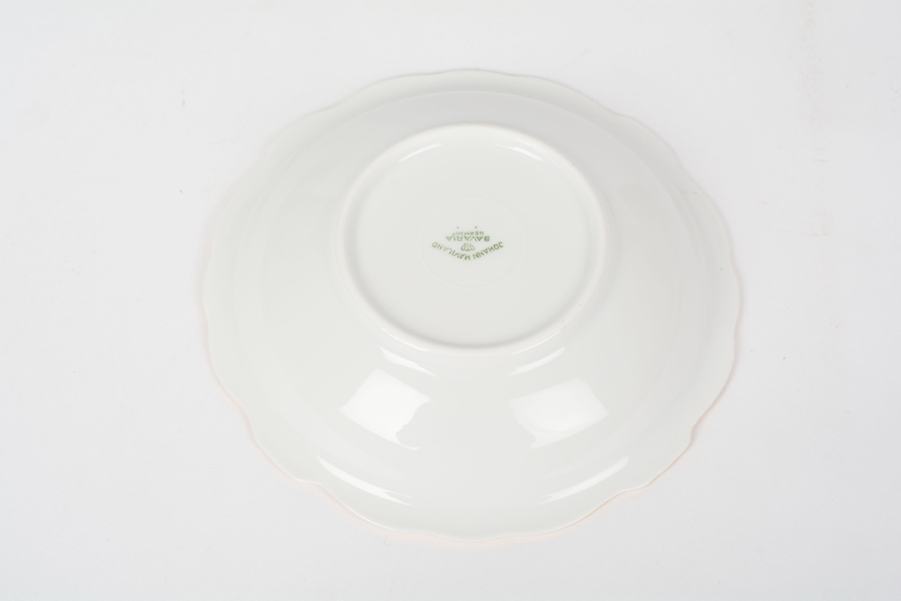 German Johann Haviland "Sepia Rose" China Dinner Service