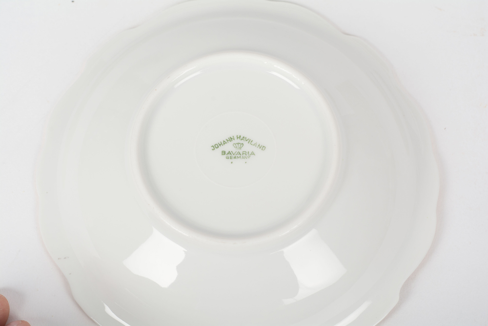 German Johann Haviland "Sepia Rose" China Dinner Service