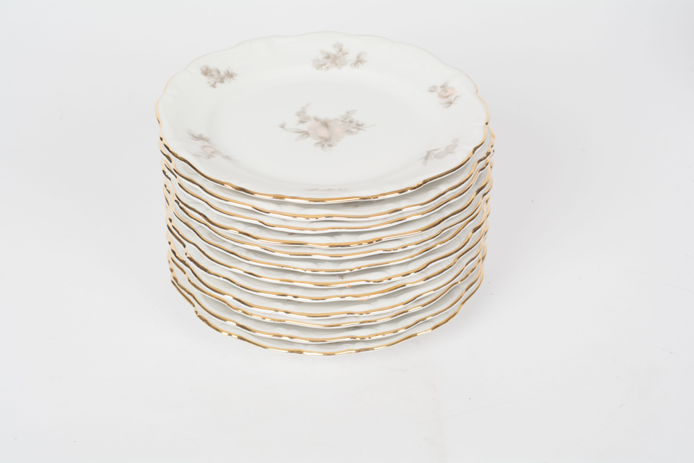 German Johann Haviland "Sepia Rose" China Dinner Service