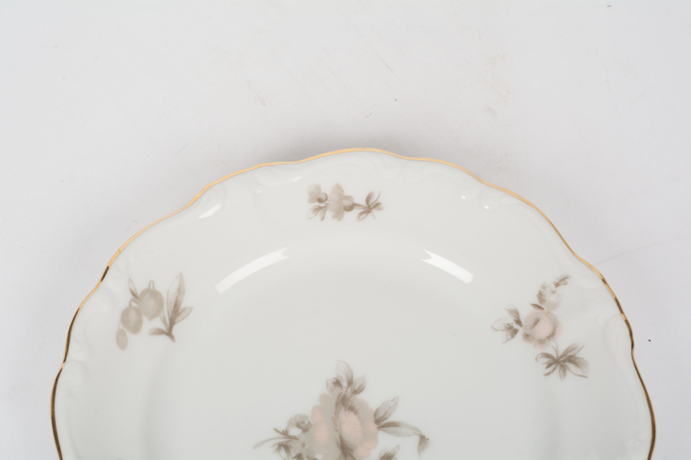 German Johann Haviland "Sepia Rose" China Dinner Service