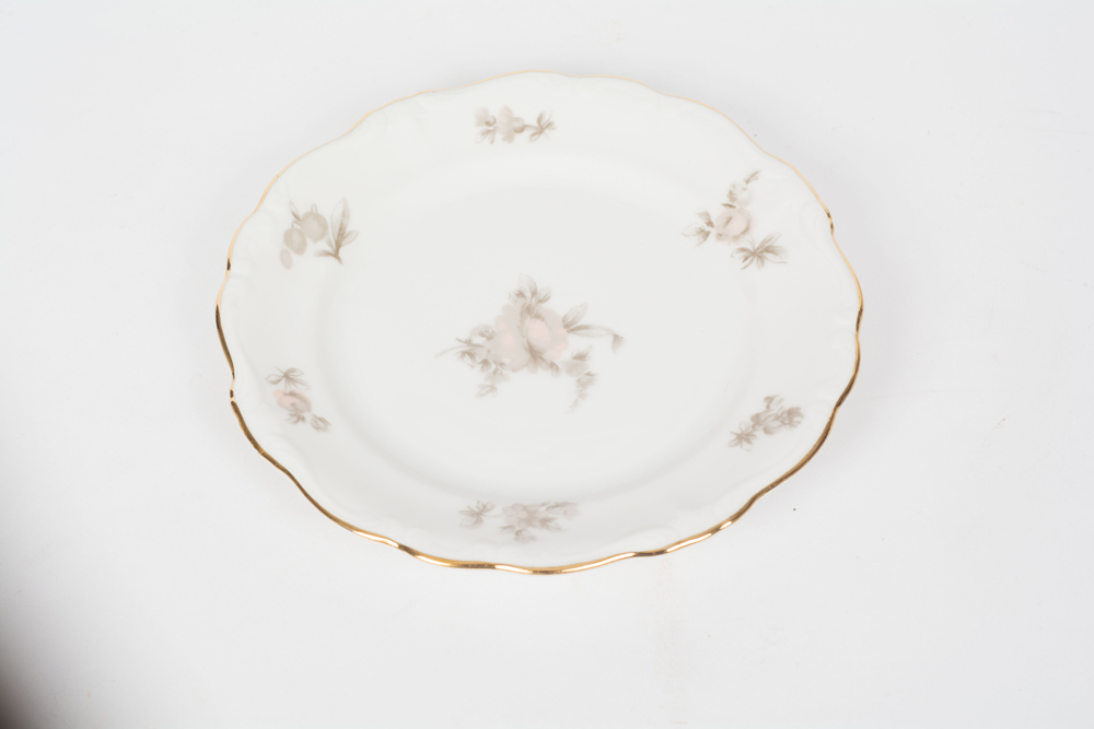 German Johann Haviland "Sepia Rose" China Dinner Service