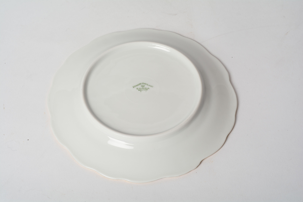 German Johann Haviland "Sepia Rose" China Dinner Service