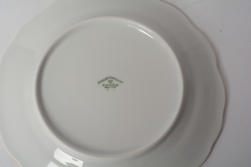 German Johann Haviland "Sepia Rose" China Dinner Service