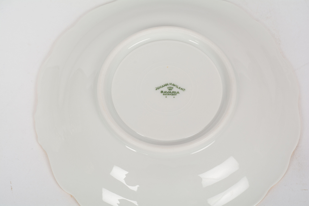 German Johann Haviland "Sepia Rose" China Dinner Service