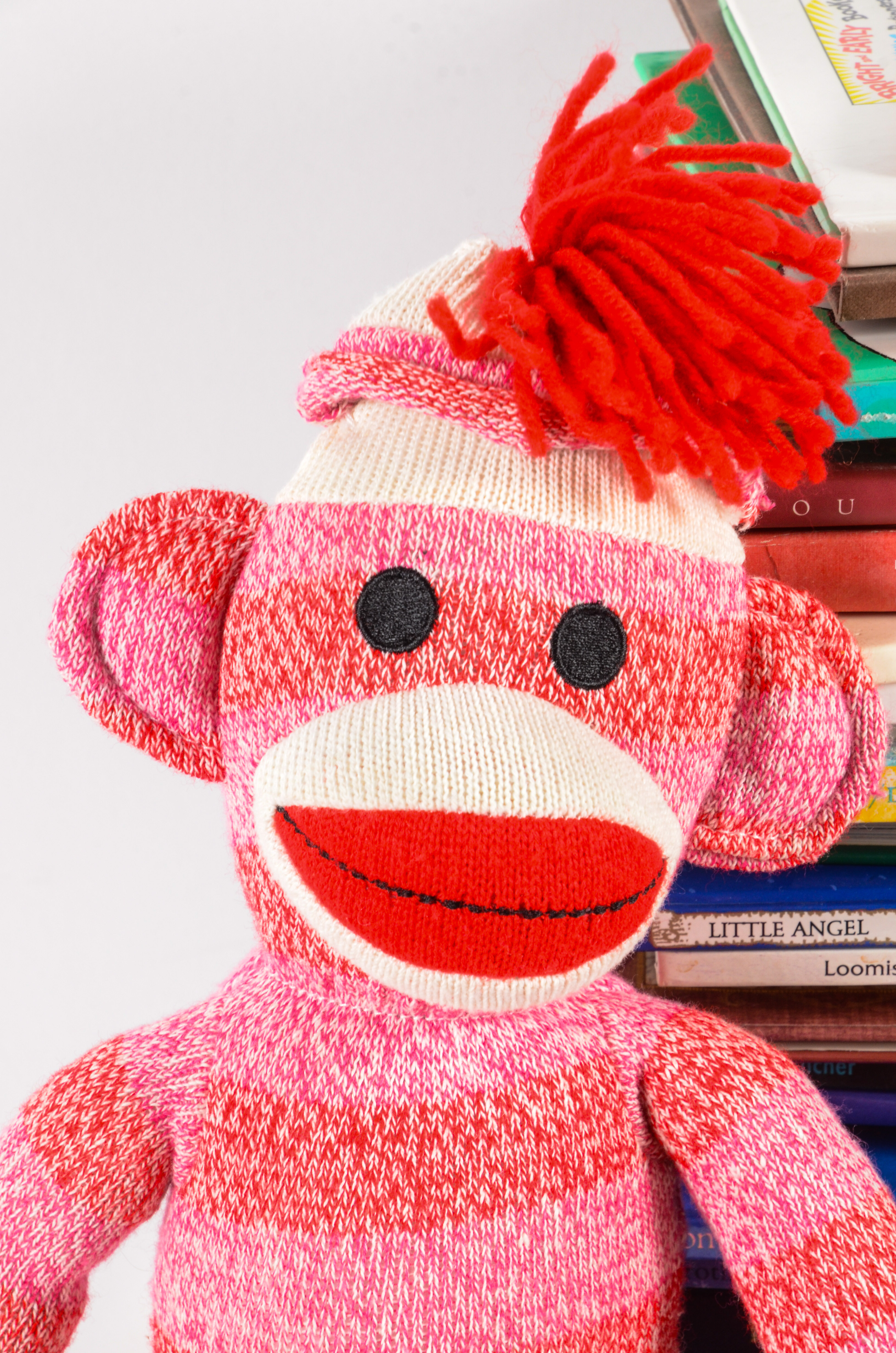 Generous Collection of Chidren's Books and a Sock Monkey Toy