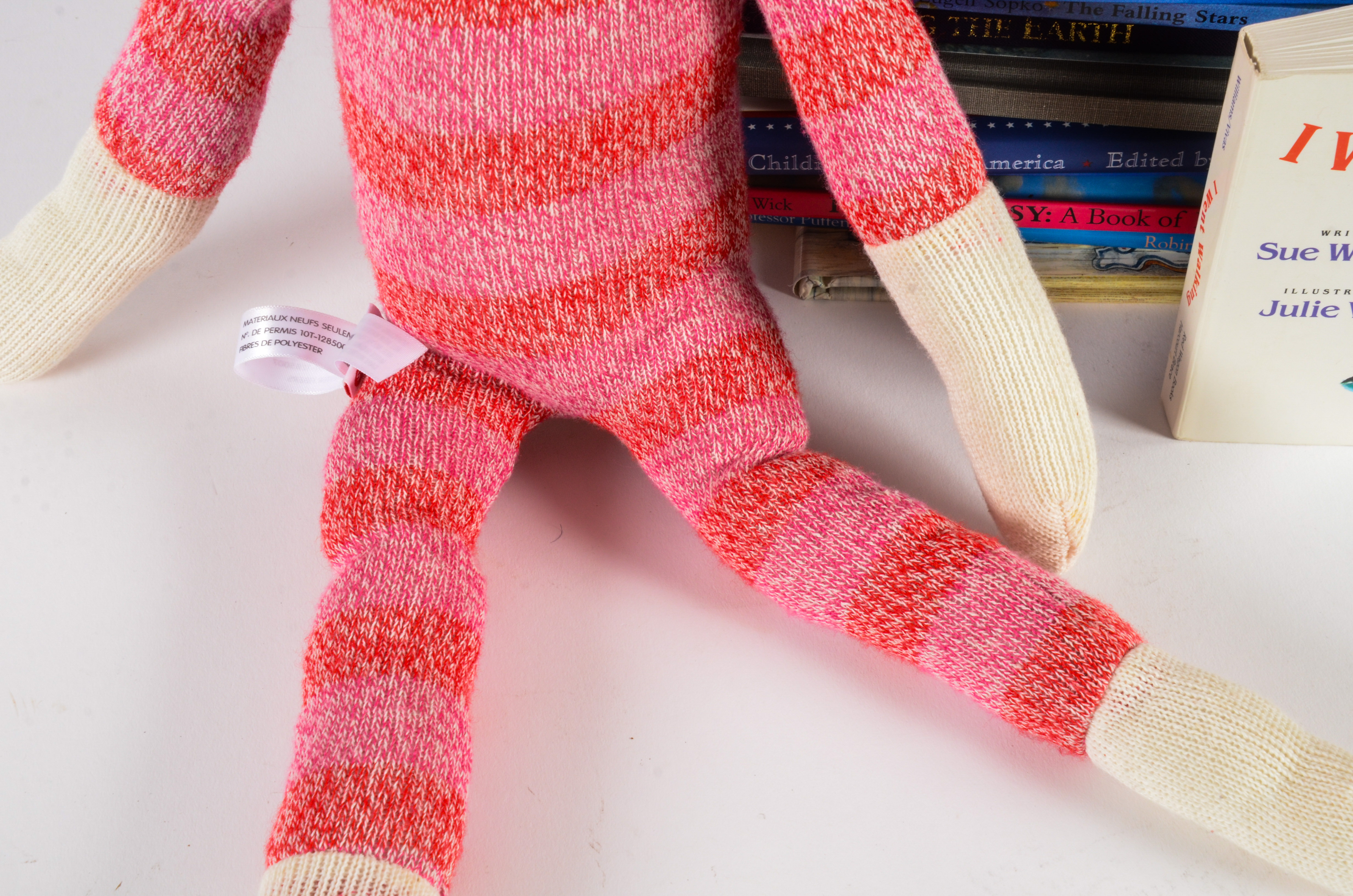 Generous Collection of Chidren's Books and a Sock Monkey Toy