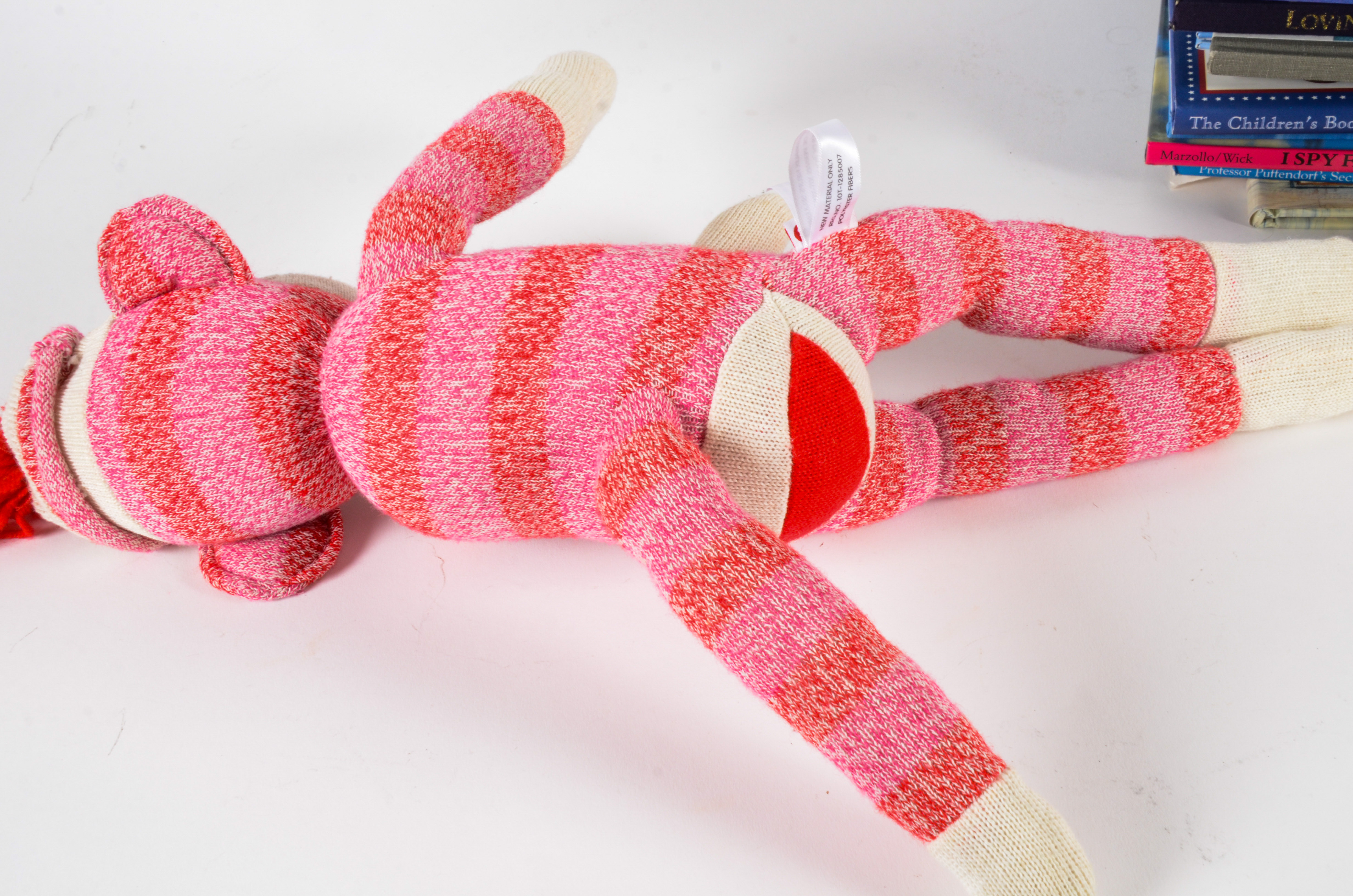 Generous Collection of Chidren's Books and a Sock Monkey Toy