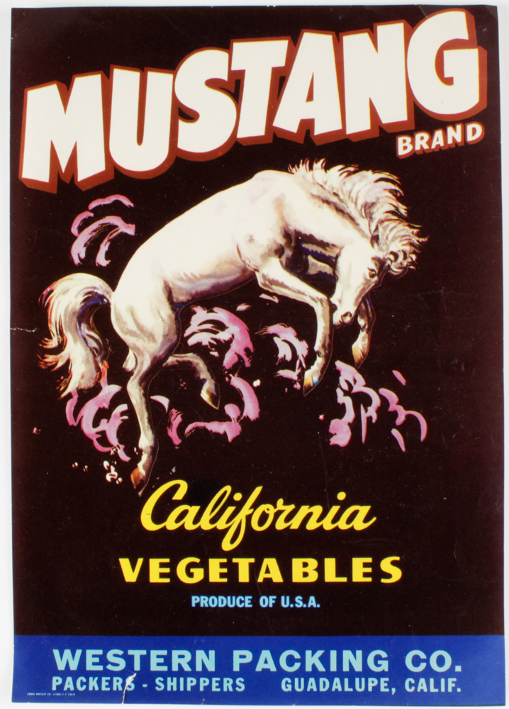 Vintage Tin Can Label Collection