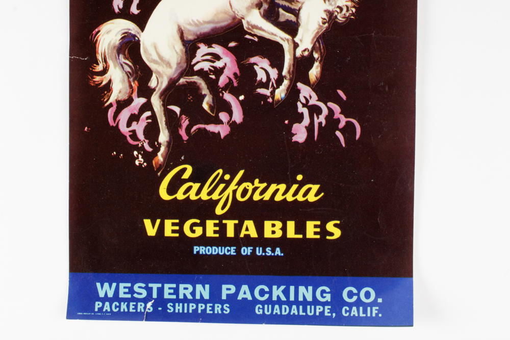 Vintage Tin Can Label Collection