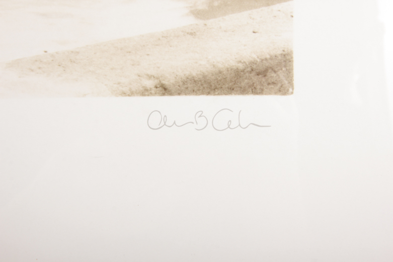 Set of Architectural Prints