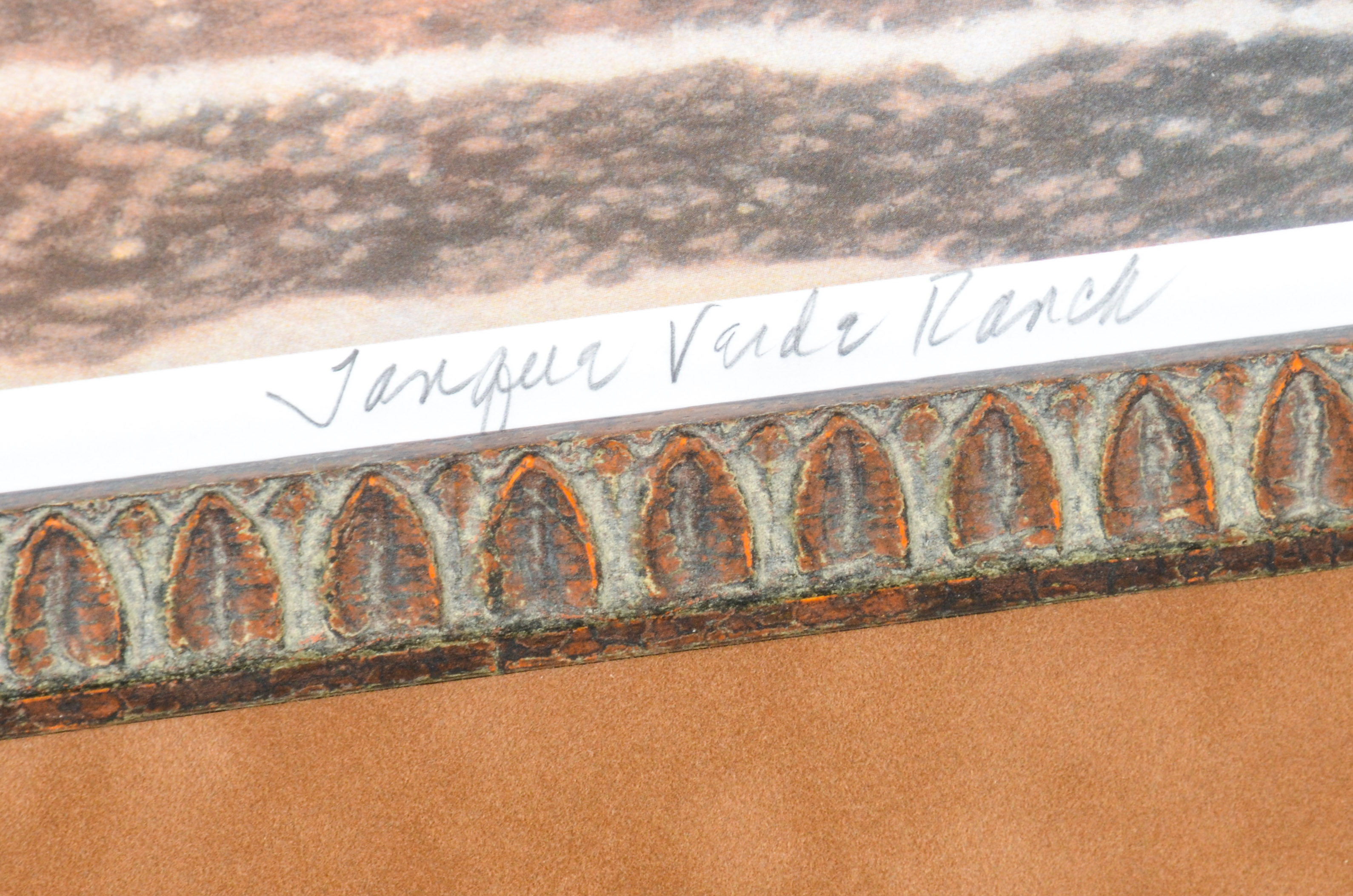 Rochelle Niederman Limited Edition Print "A Leg Over the Rope"