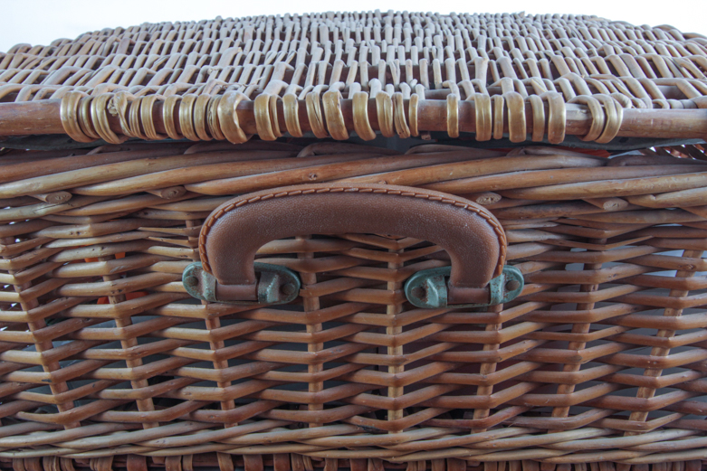 Oster Warming Servings and Picnic Accessories