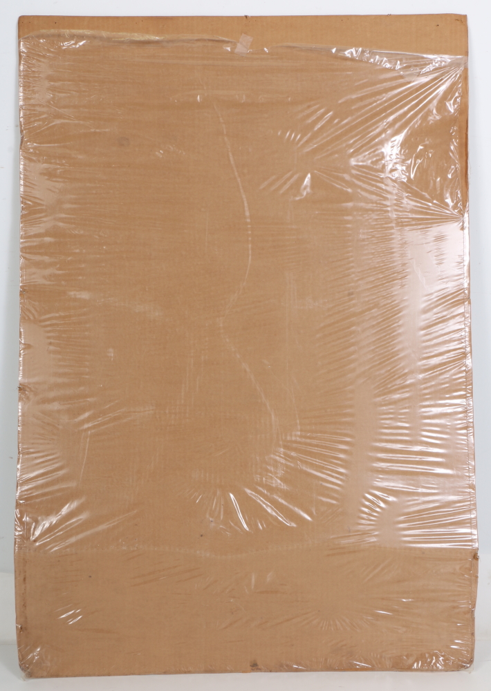 Elia Kazan's "Baby Doll" Film Poster